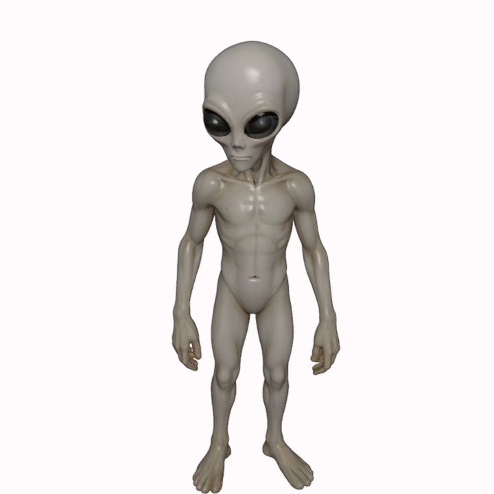 その他 Grey type Alien figure modeled object Roswell Grey Alien Figurine from Zeta Reticuli - 3D Printed